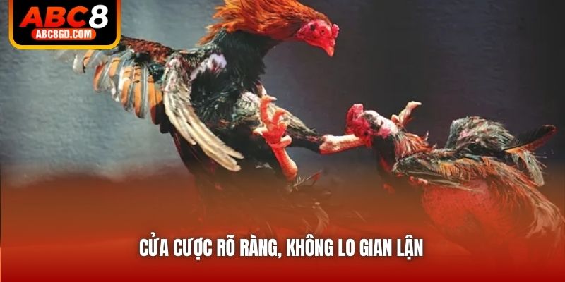 Cửa cược rõ ràng, không lo gian lận