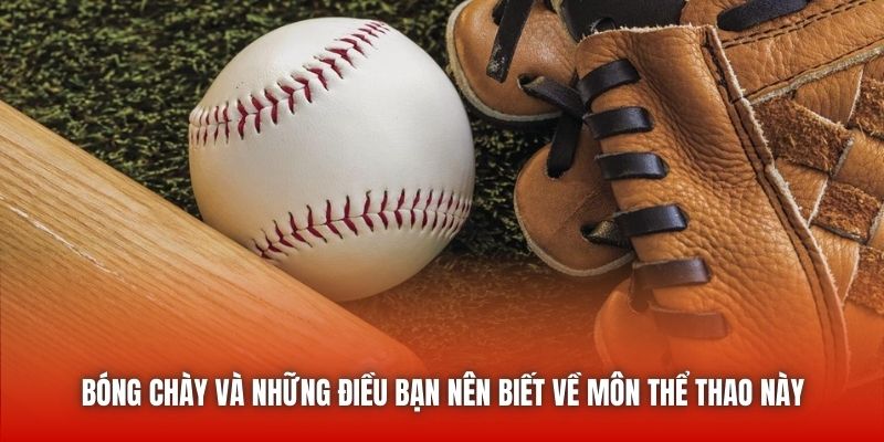 Bóng Chày Và Những Điều Bạn Nên Biết Về Môn Thể Thao Này