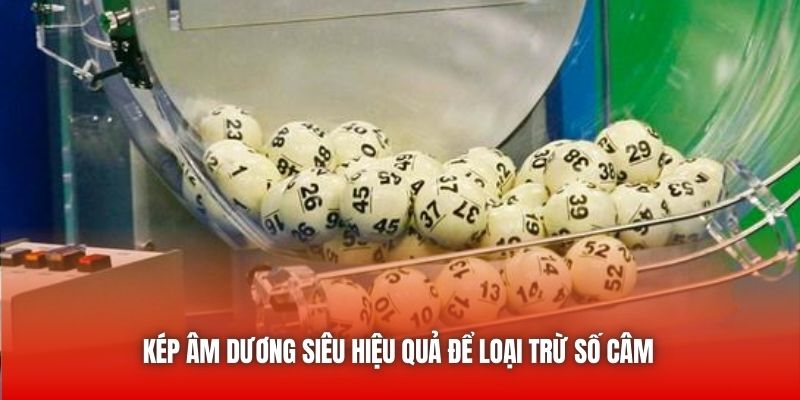 Kép âm dương siêu hiệu quả để loại trừ số câm