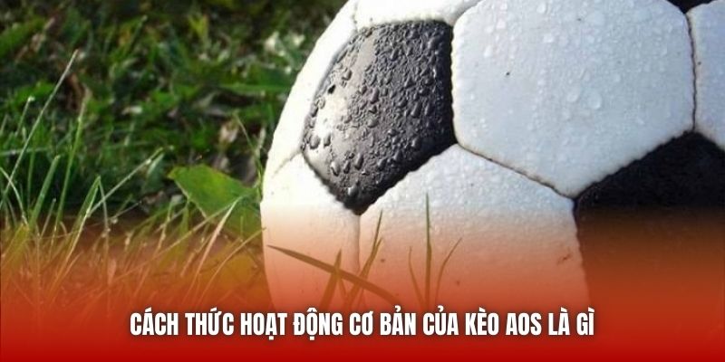 Cách thức hoạt động cơ bản của kèo AOS là gì 